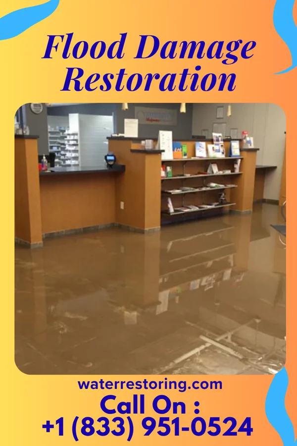 Flood Damage Restoration in Rock Creek, MN