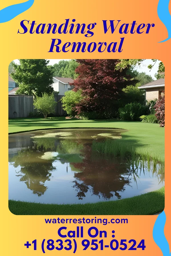 Standing Water Removal in Rock Creek, MN